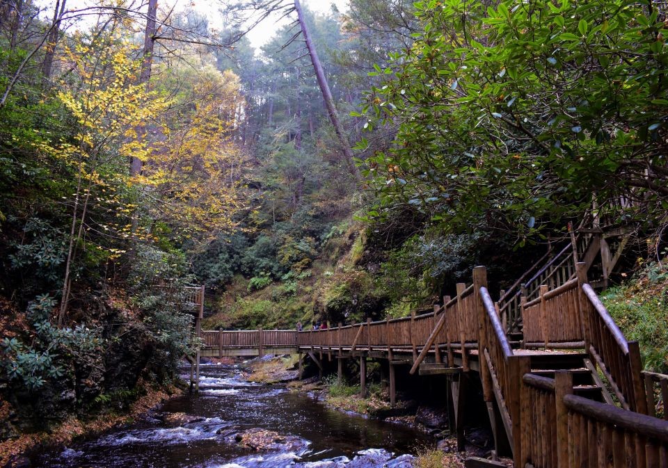 bushkill falls 